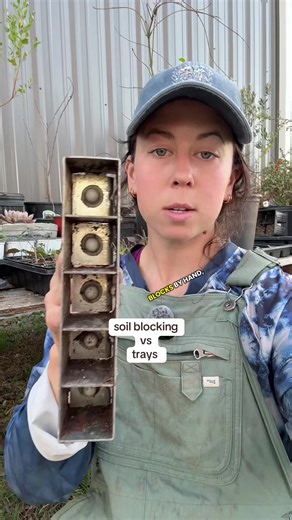 Soil Blocking vs. Plastic Trays in Gardening