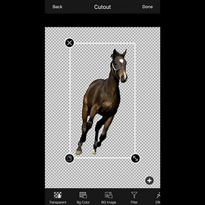 LightX on Reels | Facebook