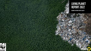 Nearly 70% of the world's wildlife population has been lost since 1970, says WWF report