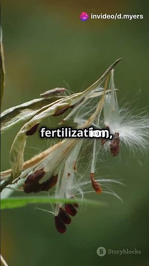 How Flowering Plants Reproduce! #biology #flowers #sexualreproduction