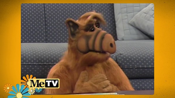 ALF (TV Series 1986–1990)