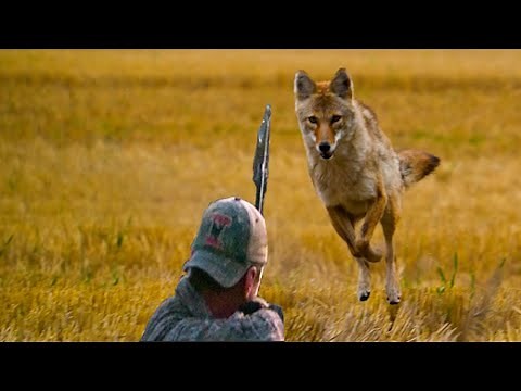 Predator PURGE Part 1