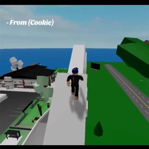 Transforming from Poor to Rich in Roblox Brookhaven