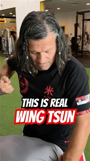 Sifu Milos Drakulic #wingchun #shorts