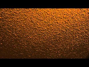 Loud upstairs neighbors