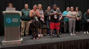 32K views · 56 reactions | Wisconsin Humane Society on Reels | Facebook