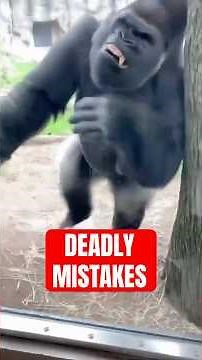 5 Things People Do That INSTANTLY Anger Animals