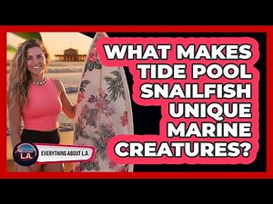 What Makes Tide Pool Snailfish Unique Marine Creatures?