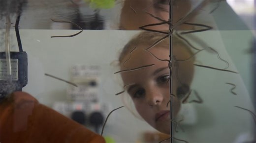 Meet the school children saving Britain's eels