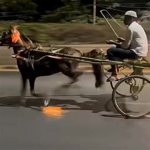 Uncover Fascinating Daily Facts You Didn't Know