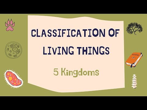 5 Kingdoms. Classification of living things