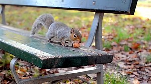 43K views · 558 reactions | The European Union is easy to explain. It...