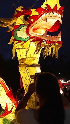 BNZ Auckland Lantern Festival 2024 – New Zealand's biggest celebration of Chinese New Year! 🏮✨