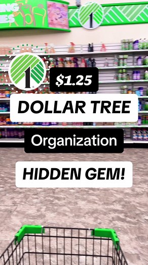 Sensational Finds on TikTok