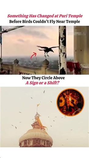 Eagles Flying Above Jagannath Temple|A Sign Many Don’t Ignore? #mystery #spirituality #jagannath