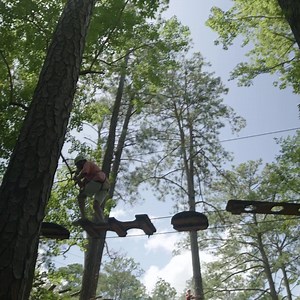 187 reactions · 19 shares | It's time to Celebrate SPRING! Revive with spring's sights, sounds and flavors. Now – April 28th. | Callaway Resort & Gardens | Facebook