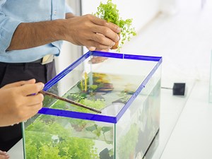 11 Incredible “Do-It-Yourself” Decoration Ideas For Your Personal Aquarium