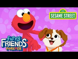 Sesame Street: T-A-N-G-O (BINGO Song Remix) | Elmo & Tango Furry Friends Forever - Videos For Kids