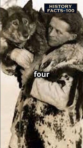 Epic Story of Balto: The Heroic Sled Dog