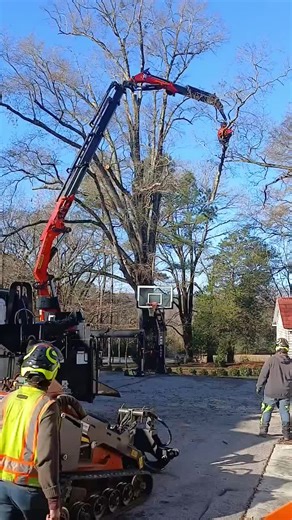 #ultimategreenlights #fishinglights #nightfishing