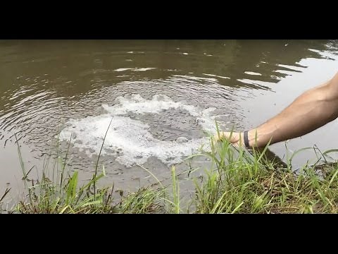 DIY Pond Aeration: Improve Your Pond Water Quality (plus "Big Max" vs. Hiblow aerators)