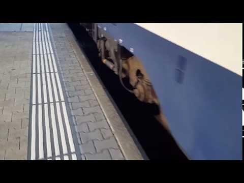 Electric train sound