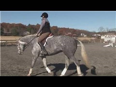 Horse Training : How to Make a Horse Run Faster