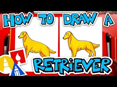 How To Draw A Golden Retriever