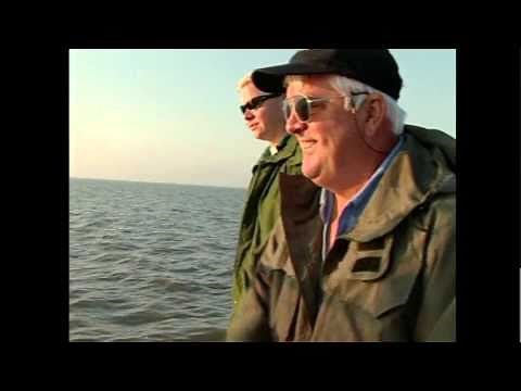 Recreational Shrimping