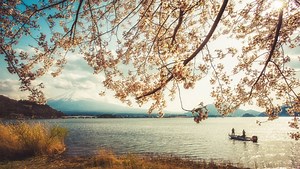 Mount Fuji's Five Best Landscape Locations