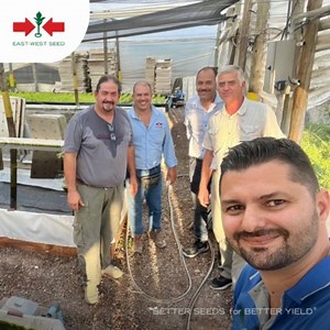 48 reactions · 3 comments | Our Latin America team had a very productive meeting with Agroglobal, our new distributor in Argentina. Agroglobal is growing various East-West Seed crops such as cabbage, lettuce, melon, rootstocks, tomato, and watermelon. | East-West Seed | Facebook