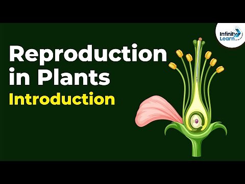 Introduction to Reproduction in Plants | Don't Memorise