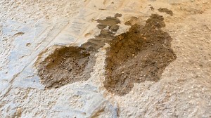 Screed Subfloor Water Test