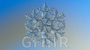 Snowflake - Build & Architect Data pipelines using AWS