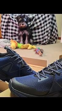 My New Favourite Pair Of Shoes: Hi-Tec Geo Trail Pro!