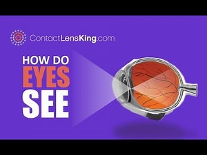 How Do Eyes See & Work