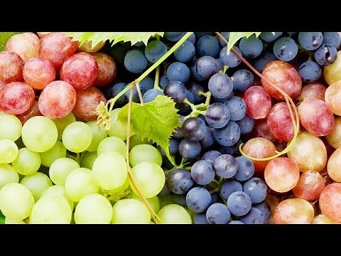 5 Incredible Health Benefits Of Grapes