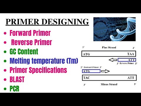 How we can Design Primer? Primer Blast. Primer Specificity. forward and reverse primer, GC and Tm?