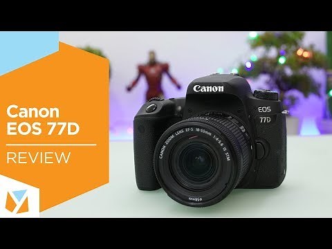 Canon EOS 77D Review