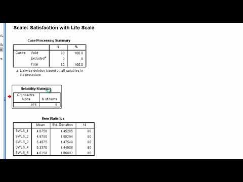 Coefficient Alpha - SPSS; Reliability; Cronbach's Alpha; Internal Consistency