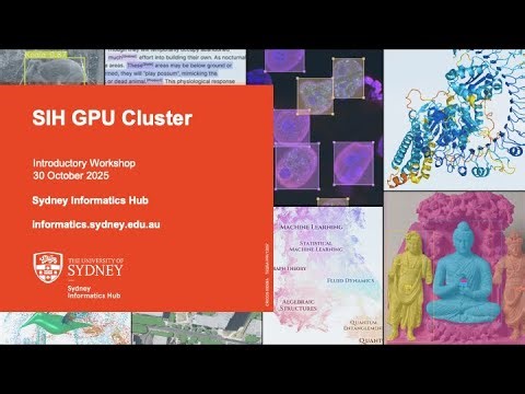 SIH GPU Cluster Workshop - 30 Oct 2025