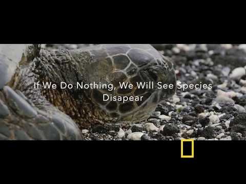 Ocean Pollution Documentary