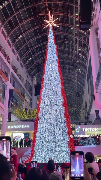 Cassie Zoey on TikTok