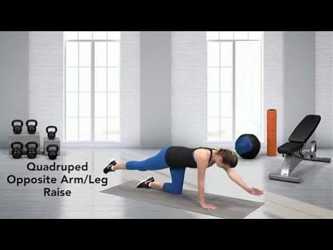 How to do a Quadruped Opposite Arm/Leg Raise