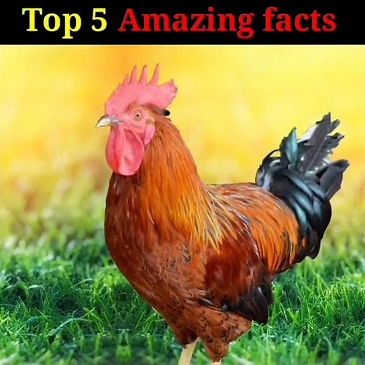 Top 5 Amazing facts by Dynam facts 😱😱😱 #shorts #top5facts #topfacts #cocacola #bluerose #dynamfacts