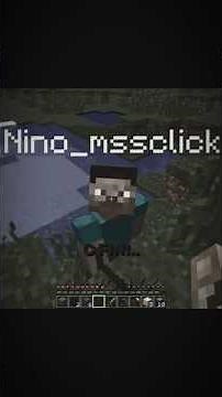 Ninjaxx et Nino.. la fin?