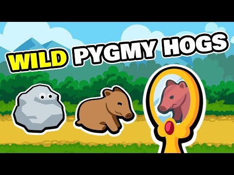 You Wouldn't Like Him When He's Angry - Super Auto Pets