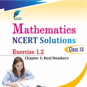 NCERT Solutions for Class 10 Maths Exercise 1.2 Real Numbers