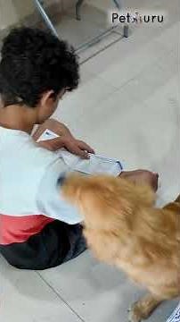 I Tried EVERYTHING to Stop My Puppy From BITING