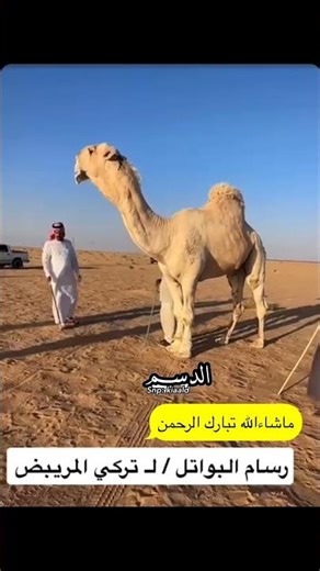 رسام البواتل / ل تركي المريبض